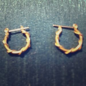 Goldtone Small Hoop Earrings